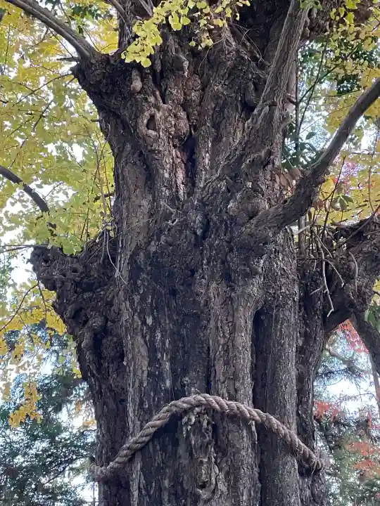 鞆江神社(明地)(愛知県)