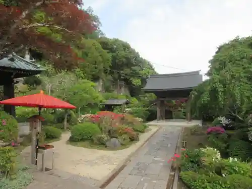 海蔵寺の庭園