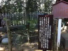 大鷲神社の自然