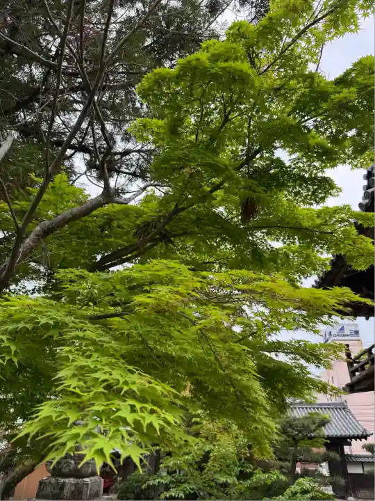 伊勢の国 四天王寺(三重県)