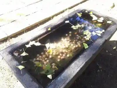 柴又八幡神社の手水舎