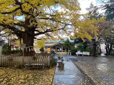 川内八幡宮(青森県)
