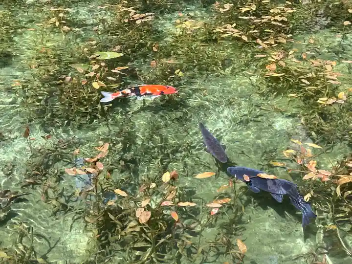 根道神社(岐阜県)