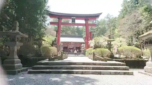 北口本宮冨士浅間神社の鳥居