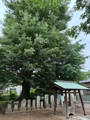 三社大神(千葉県)