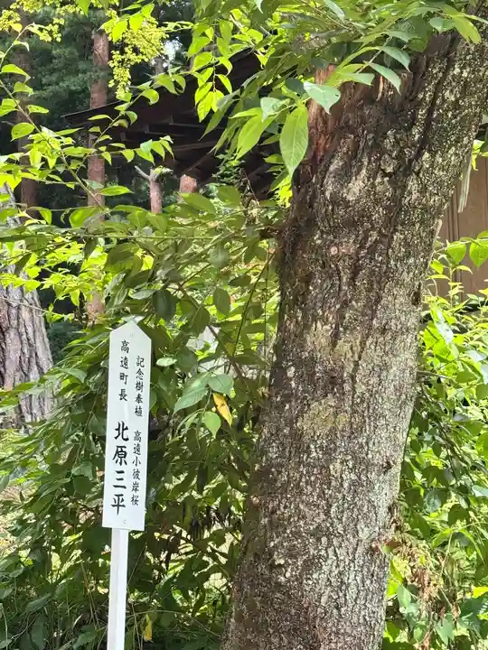 土津神社|こどもと出世の神さま(福島県)