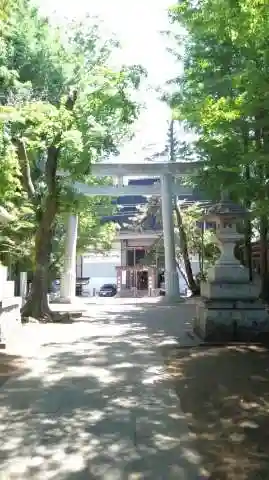 荻窪八幡神社の鳥居