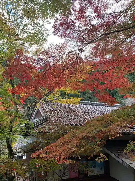 寂光院(京都府)