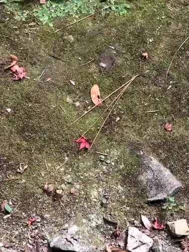 禅林寺（永観堂）のその他建物