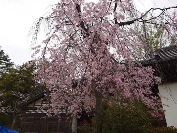 厳島神社(広島県)