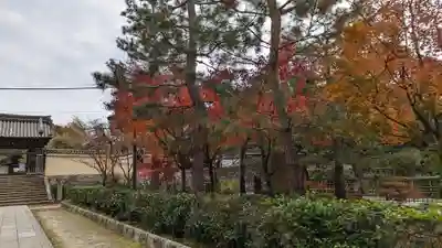 建仁寺（建仁禅寺）(京都府)