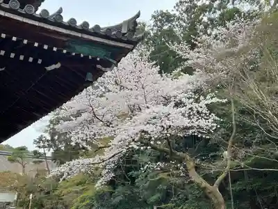 御寺 泉涌寺(京都府)