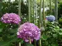 鈴鹿明神社(神奈川県)