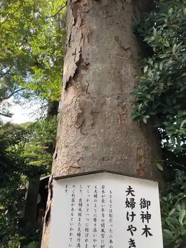 阿佐ヶ谷神明宮のその他建物