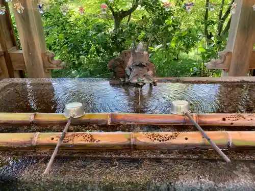 青龍山 吉祥寺の手水