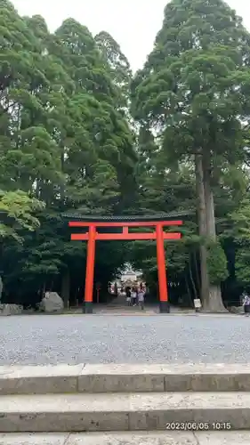 霧島神宮(鹿児島県)