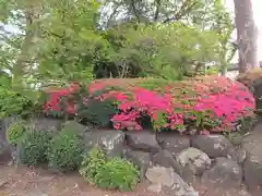 安穏寺(東京都)