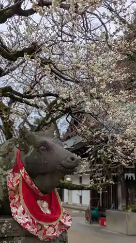 北野天満宮(京都府)
