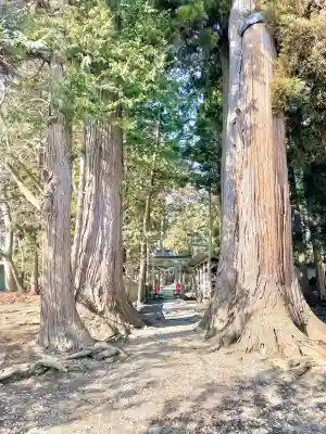 八坂神社の{uncategorized: "未分類", other: "その他", undefined: "問題あり", building: "その他建物", grave: "お墓", sacred_gate: "鳥居", guardian: "狛犬", statue: "像", buddha: "仏像", history: "歴史", nature: "自然", garden: "庭園", animal: "動物", pagoda: "塔", temizu: "手水舎", mountain_gate: "山門・神門", sanctuary: "本殿・本堂", subordinate: "末社・摂社", art: "芸術", scenery: "景色", jizo: "地蔵", ema: "絵馬", goshuin: "御朱印", omikuji: "おみくじ", items: "授与品その他", amulet: "お守り", goshuincho: "御朱印帳", eats: "食事", festival: "お祭り", votive_dance: "神楽", shichigosan: "七五三参", wedding: "結婚式", experience: "体験その他", initially: "初詣", around: "周辺", anti_infection: "感染症対策"}
