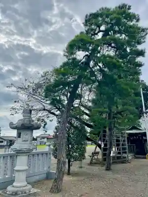 健田須賀神社(茨城県)