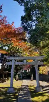 国府台天満宮の鳥居