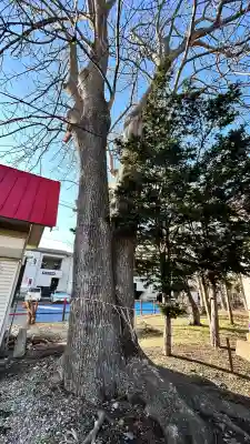 七重浜稲荷神社(北海道)