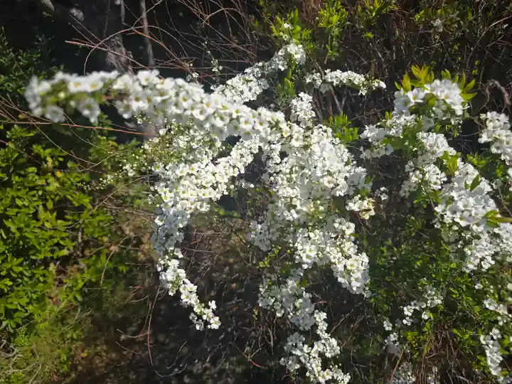 小松寺(大阪府)