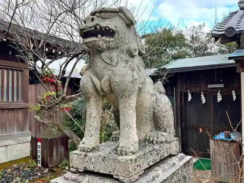 乃木神社の狛犬