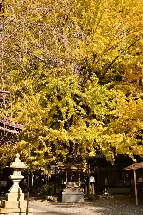 正法寺(滋賀県)