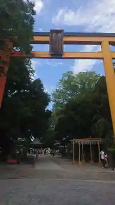 川越氷川神社の鳥居