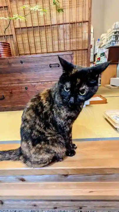 五十稲荷神社(栄寿稲荷神社)の動物