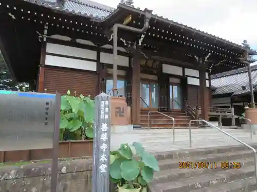 善導寺の本殿・本堂