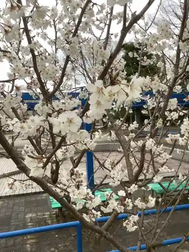 溝旗神社（肇國神社）の自然