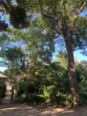 十二所神社(千葉県)