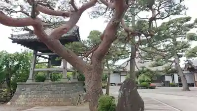 松蔭寺(静岡県)