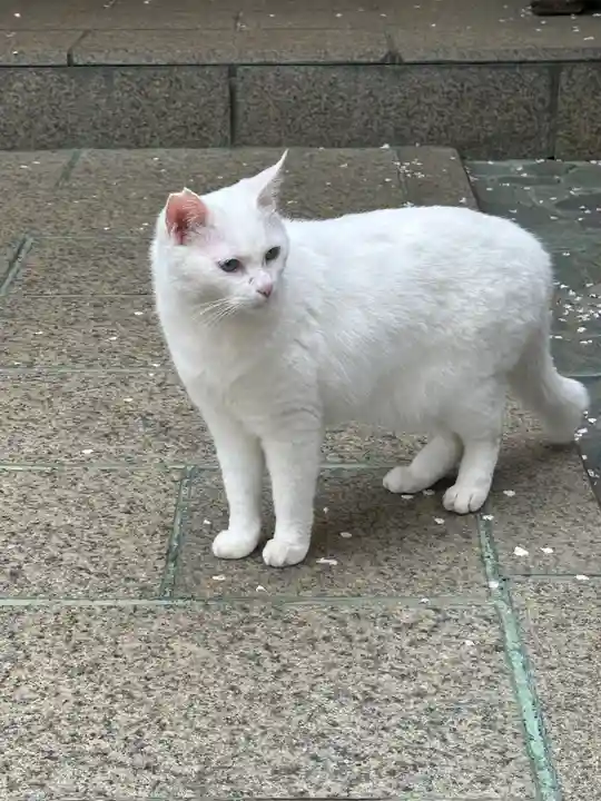 王子神社(徳島県)