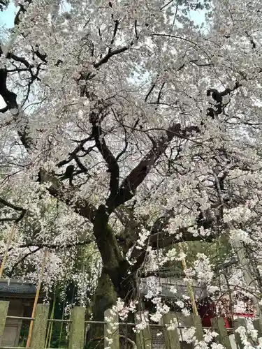 小川諏訪神社(福島県)