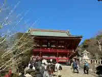 鶴岡八幡宮の本殿・本堂