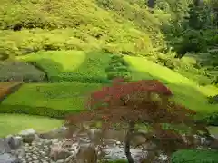 龍雲寺の自然