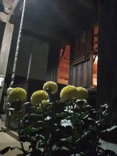 伏木香取神社の自然