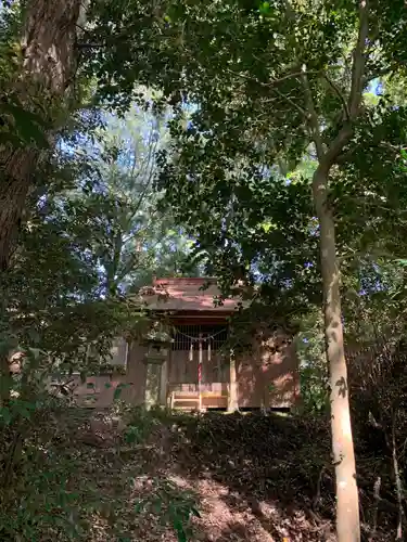 浅間神社の本殿・本堂