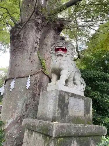 比々多神社の狛犬