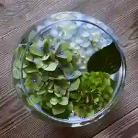 滑川神社 - 仕事と子どもの守り神のその他建物