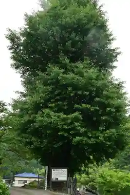 長福寺(徳島県)