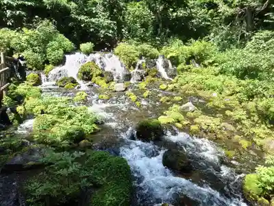 ふきだし公園不動明王尊の周辺
