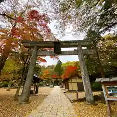 古峯神社の鳥居