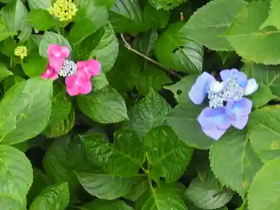 御霊神社(神奈川県)
