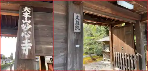 大雄院(京都府)