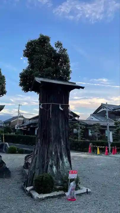 苗村神社(滋賀県)