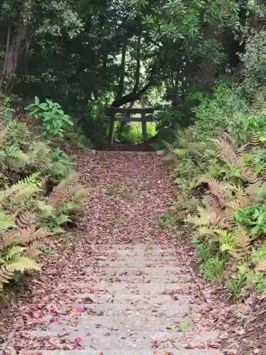 伊豫岡八幡神社(愛媛県)